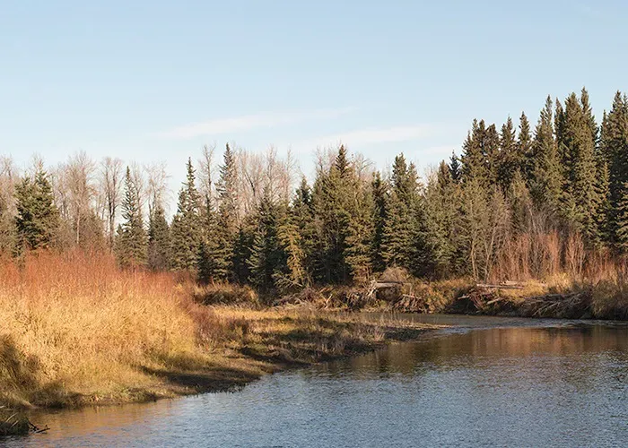 19th Century Japanese Poet: Harukichi Shimoi