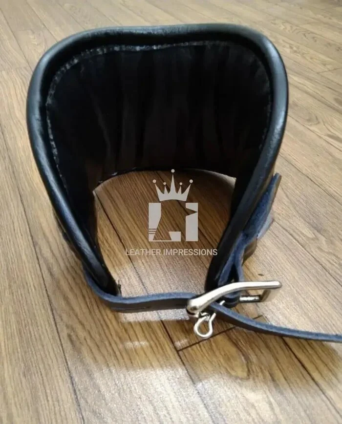 leather posture collars