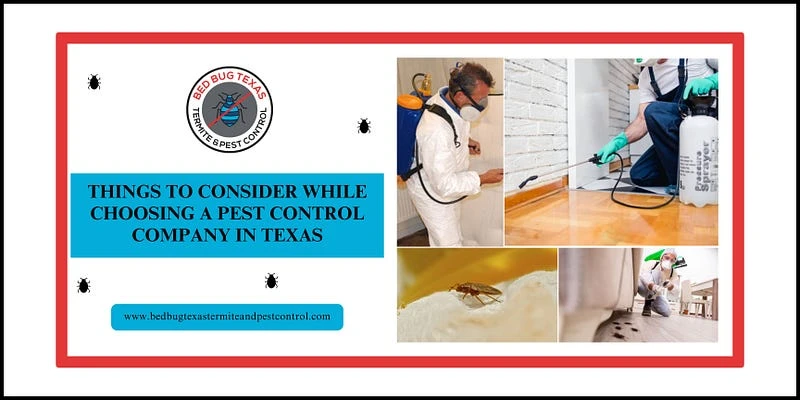 Things to Consider While Choosing a Pest Control Company in Texas