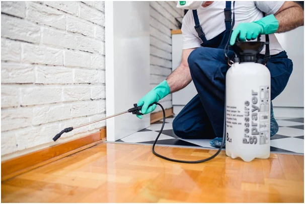 Things to Consider While Choosing a Pest Control Company in Texas