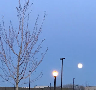 Learning, living, loving and aging.