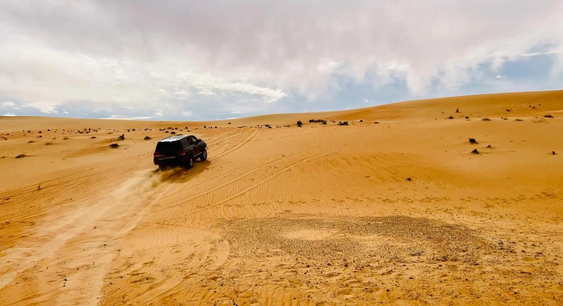 Liwa Desert Safari Abu Dhabi