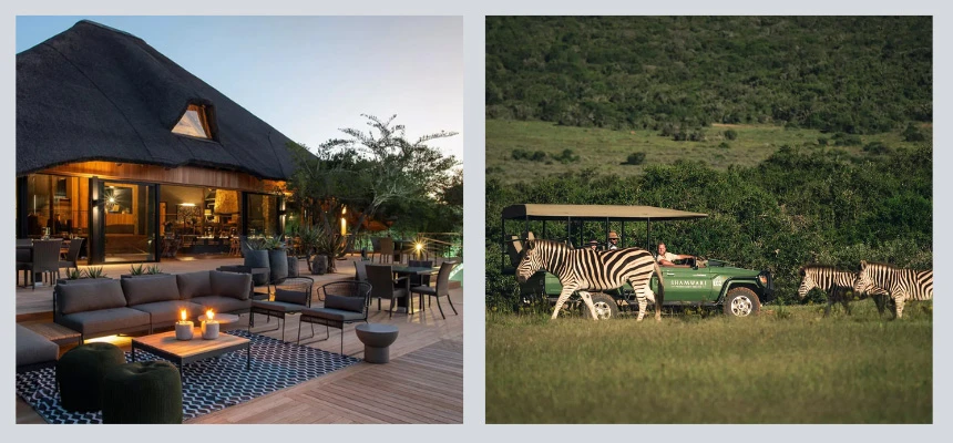 Safari Secrets: Wild Wonders of Southern Africa | Luxury Getaways