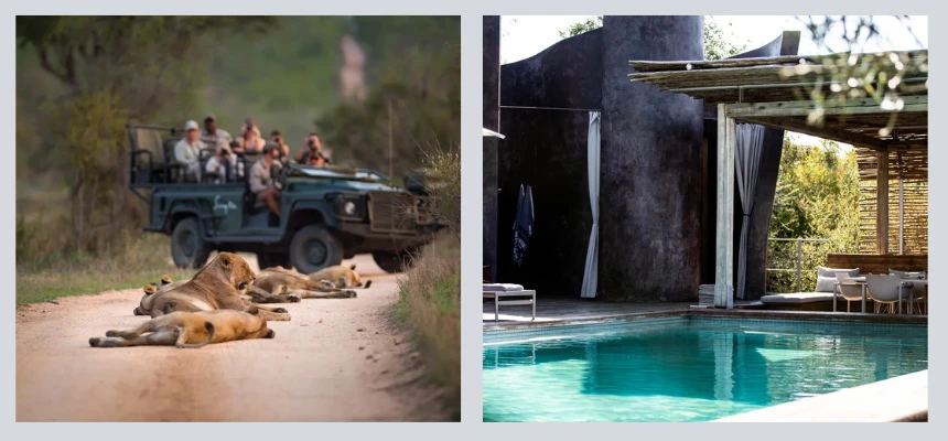 Safari Secrets: Wild Wonders of Southern Africa | Luxury Getaways