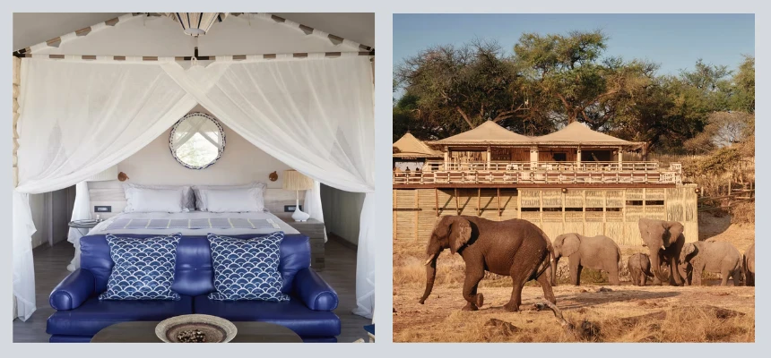 Safari Secrets: Wild Wonders of Southern Africa | Luxury Getaways