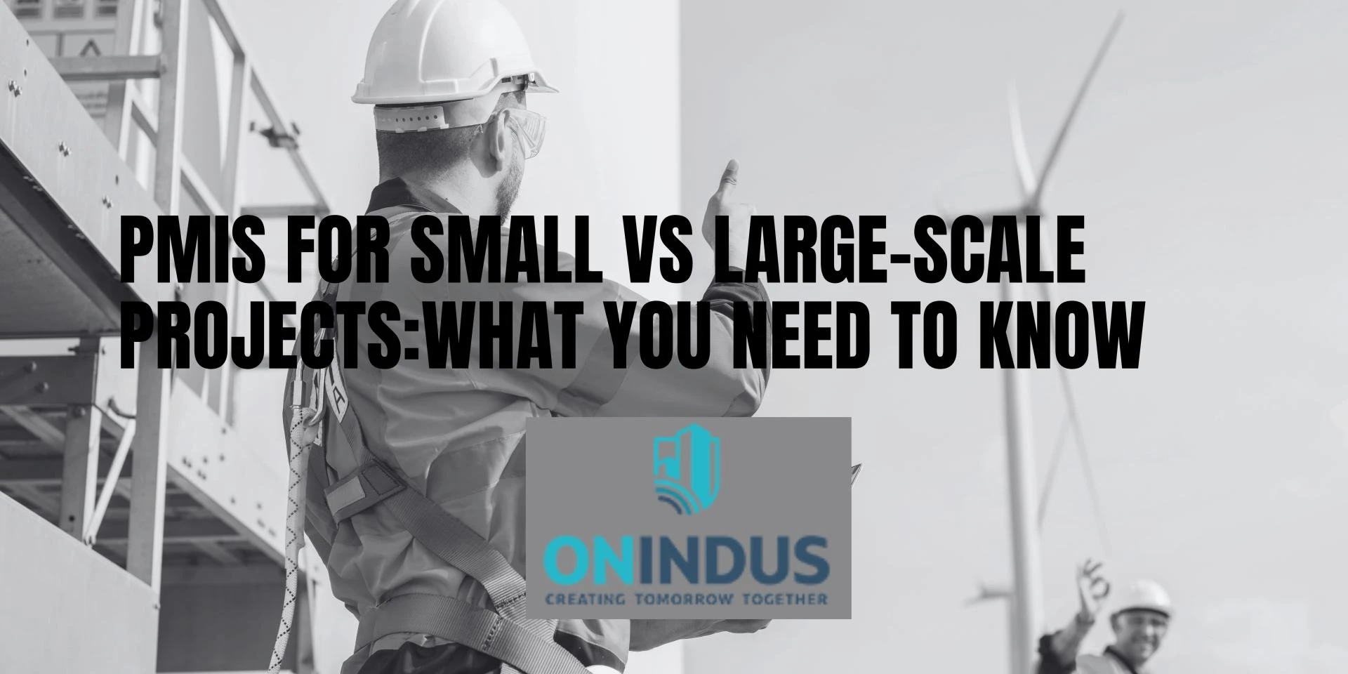 PMIS for Small vs Large-Scale Projects: What You Need to Know