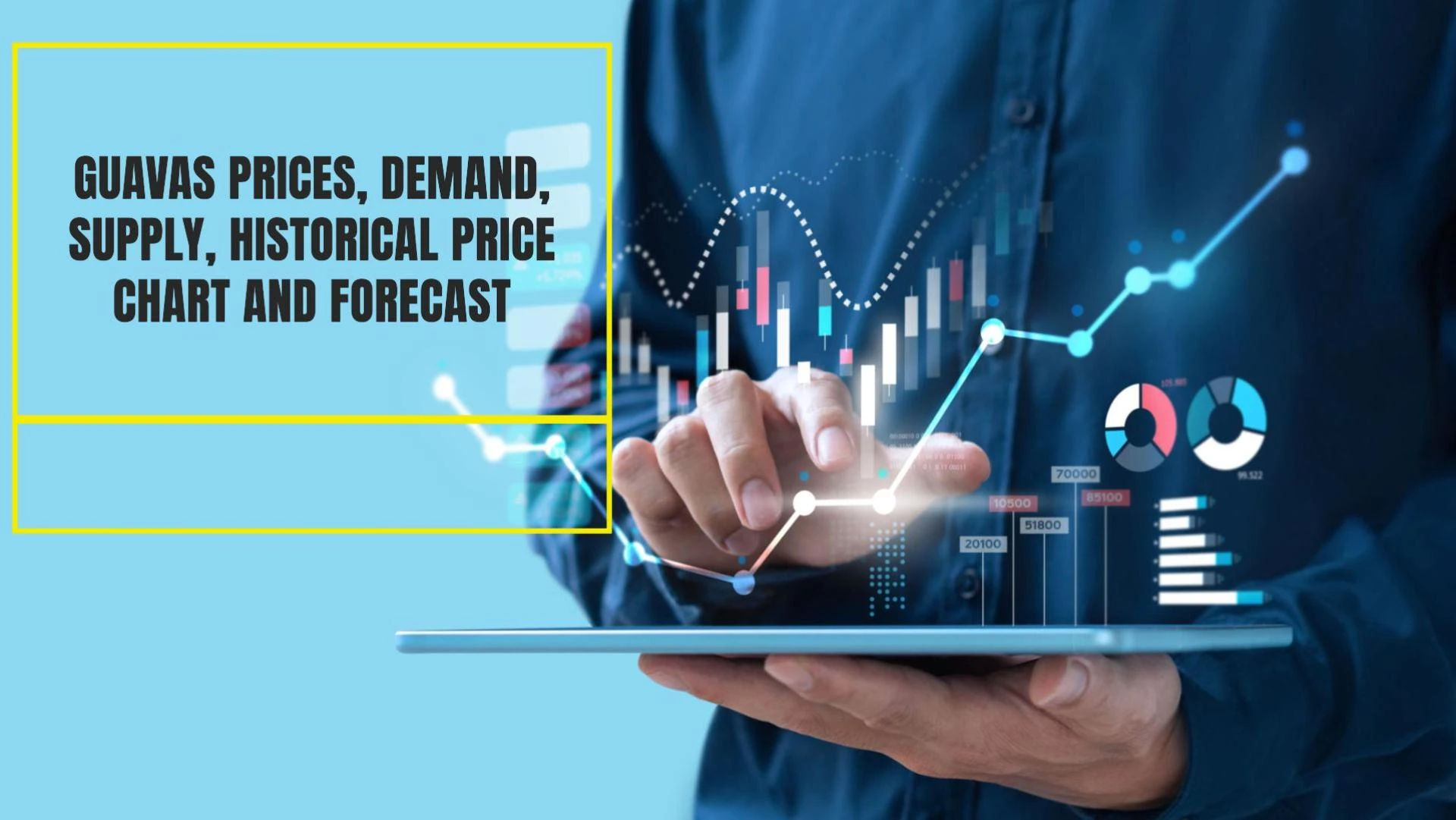 Guavas Prices, Demand, Supply, Historical Price Chart and Forecast