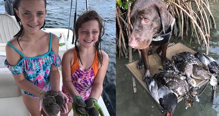 Crystal River Fishing: A Comprehensive Guide to Florida's Hidden Gem