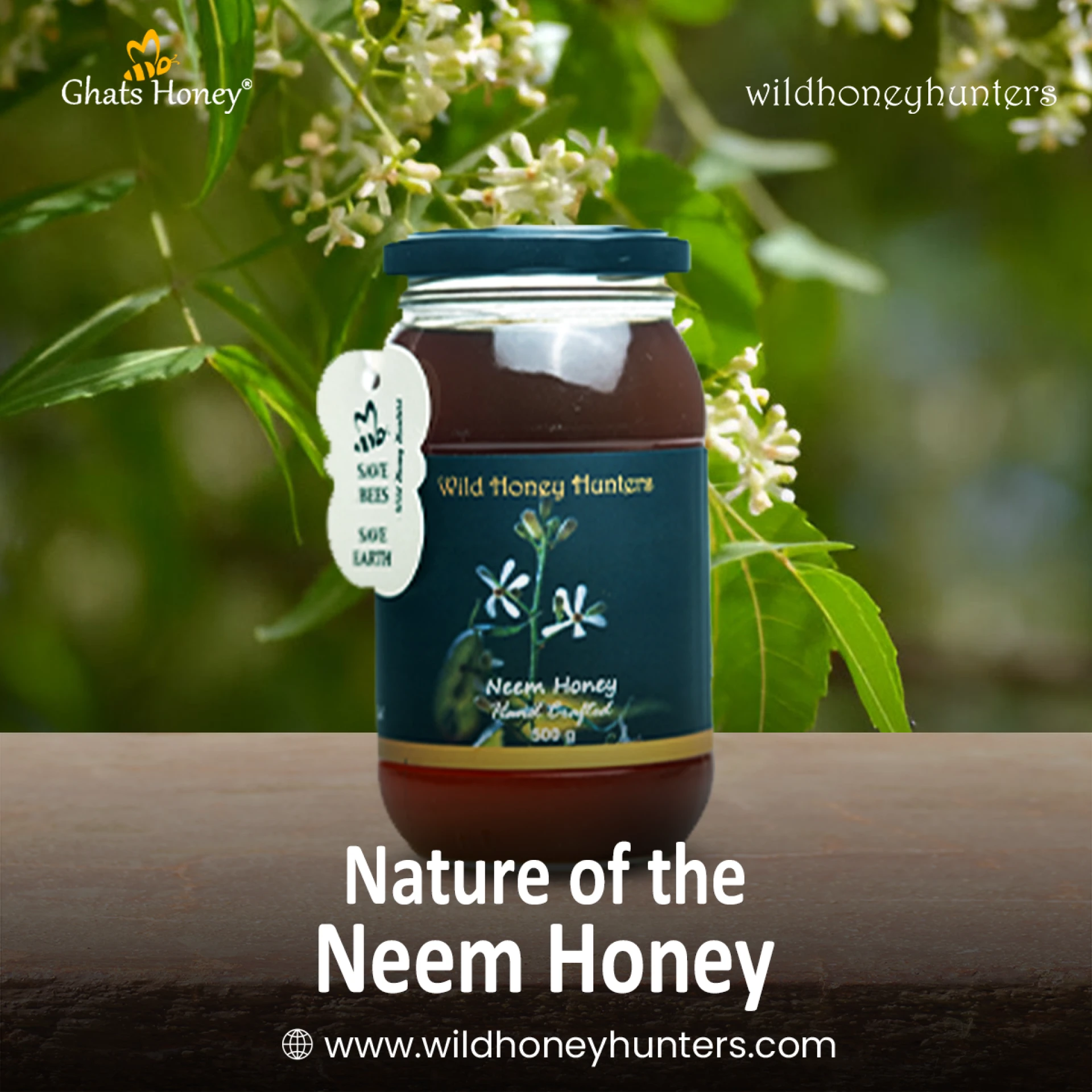Neem Honey: Nature's Medicine for Health and Wellness