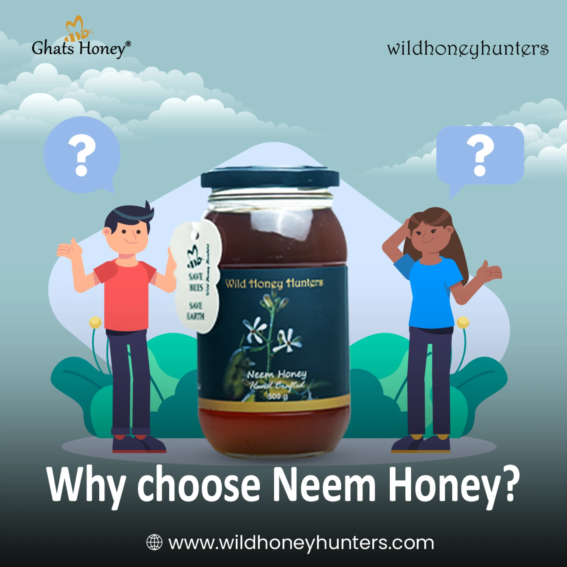 Neem Honey: Nature's Medicine for Health and Wellness