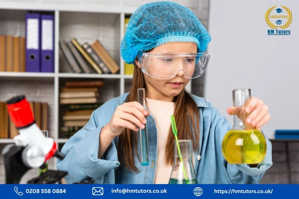 Understanding the Science Curriculum KS2: A Guide to Building Knowledge and Skills