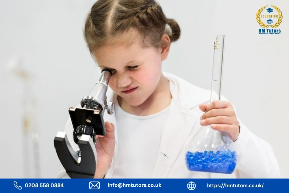 Exploring the Science KS2 Curriculum: Building Scientific Knowledge and Inquiry Skills