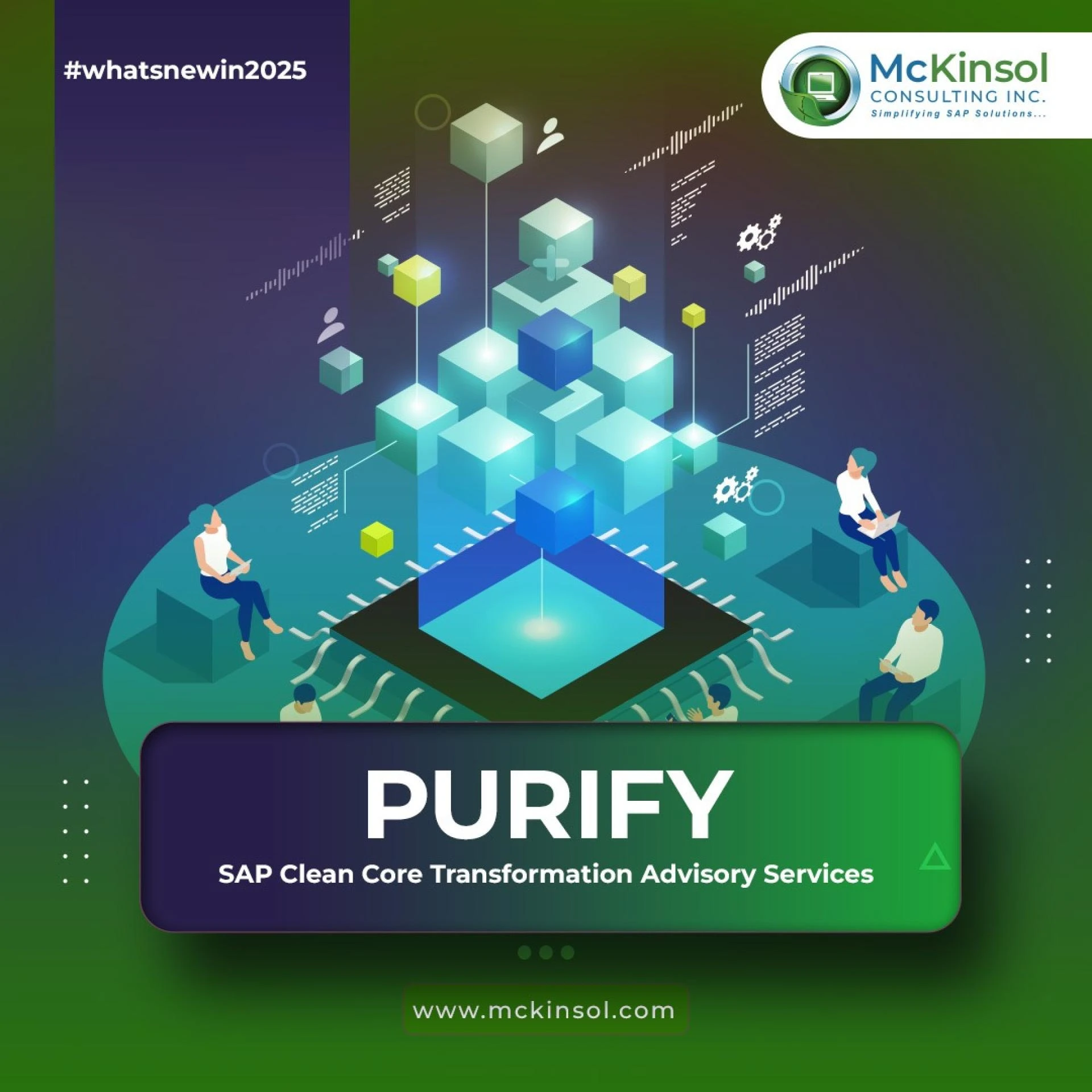SAP Clean Core Benefits in USA: Purify.io by McKinsol