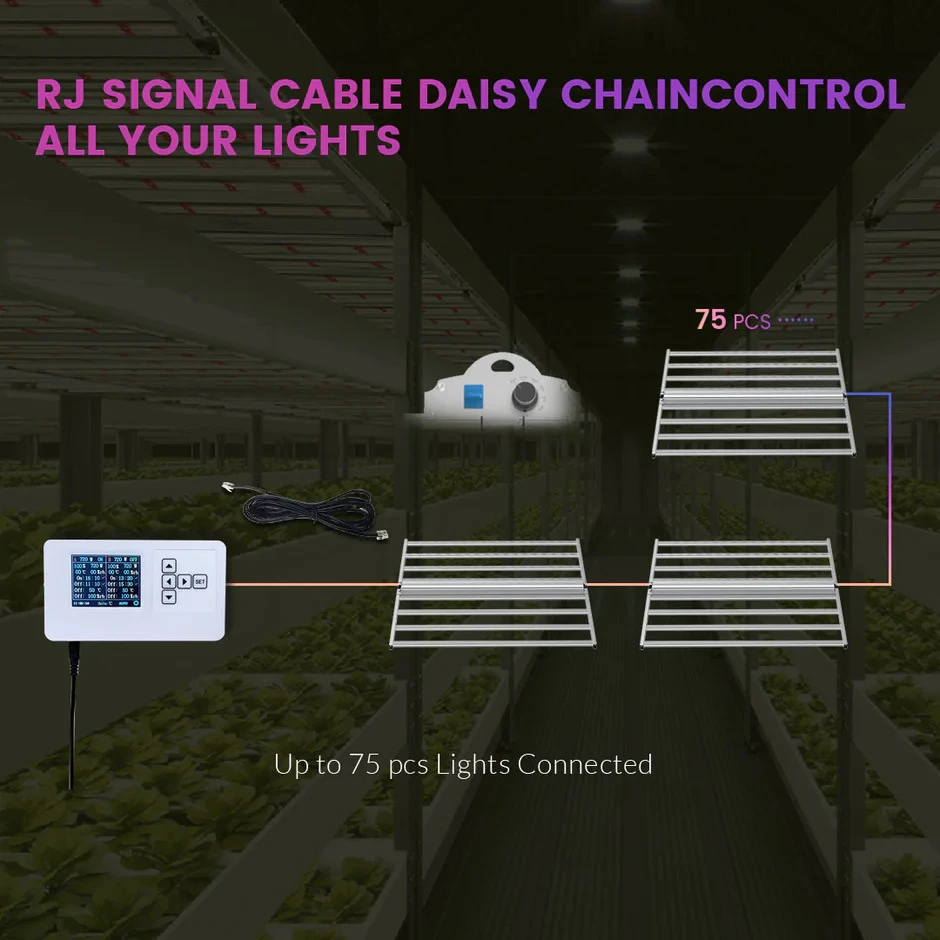 Can Grow Lights Really Replace Sunlight for Your Plants?