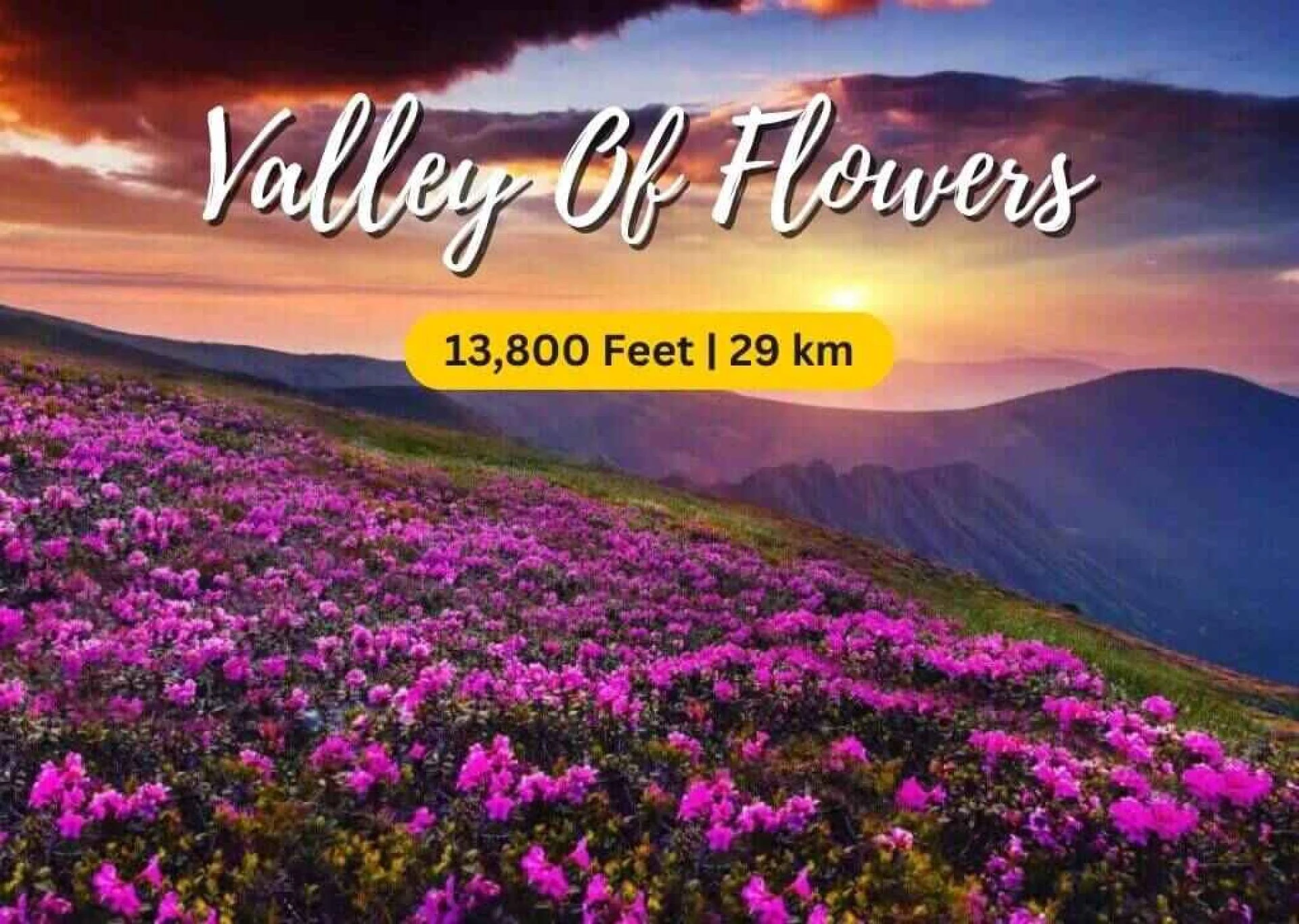 Valley of Flowers Trek: A Walk Through Nature’s Paradise