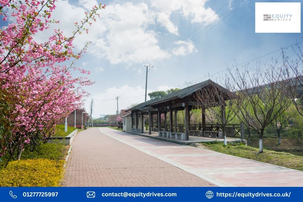 Expert Paving, Driveways, Landscaping, and Property Maintenance Services