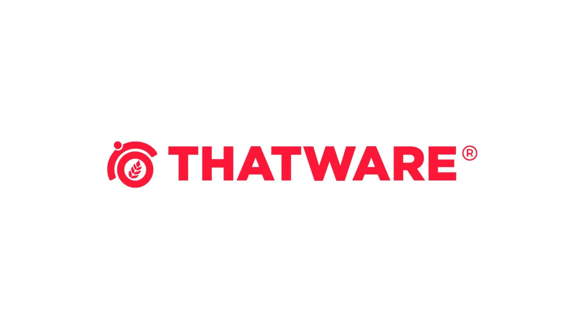 Leading Hyper Intelligence SEO Firm in Mumbai – ThatWare LLP