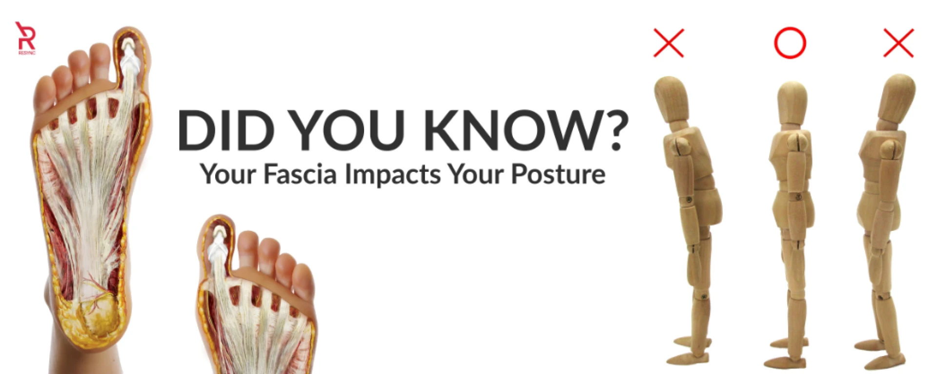 Fascia Hydration Secrets: Unlocking Mobility, Strength, and Recovery