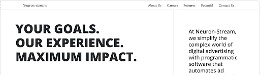 Neuron-Stream.io Review: A Comprehensive Look at Programmatic Advertising Solutions