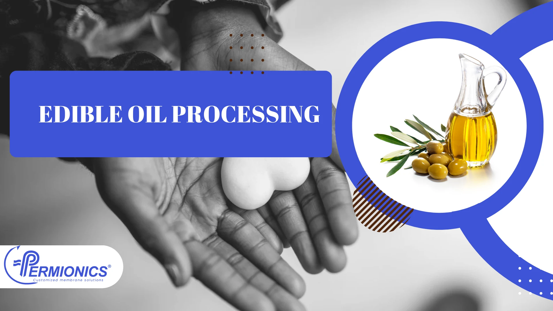 From Kitchen to Skincare: How Edible Oils Are Used in Beauty Products