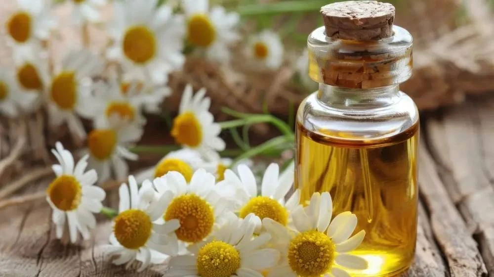 Essential Oil Suppliers: Choosing the Right Partner for Your Business