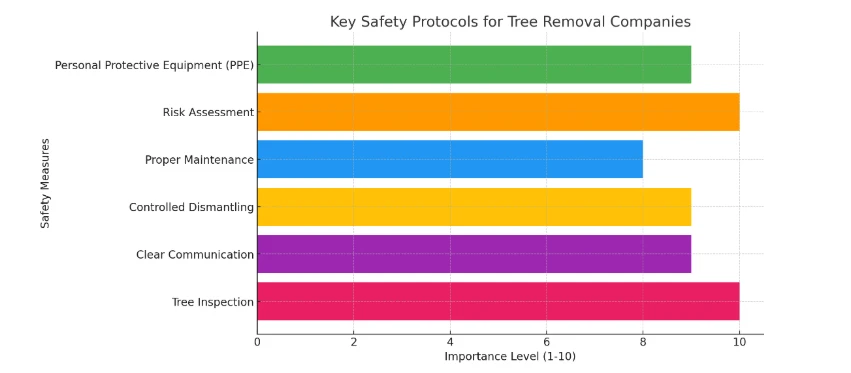What Should I Check Before Hiring A Tree Removal Company?