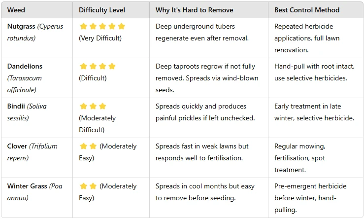 Which Weeds Are Hardest To Remove In Australian Lawns?