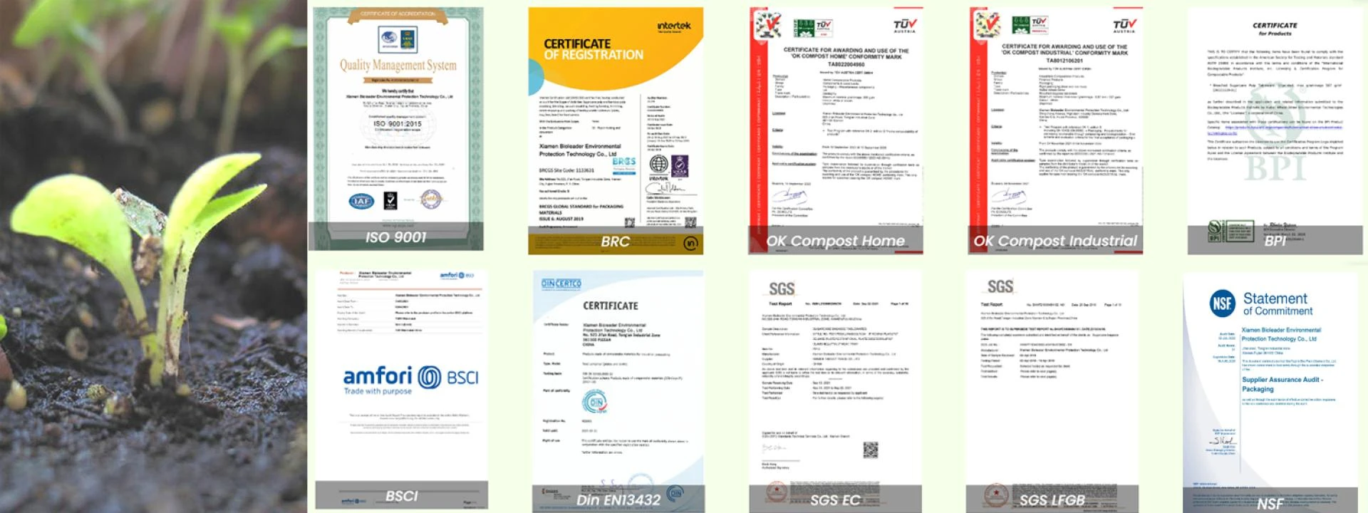 Top 10 Biodegradable Tableware Manufacturers & Suppliers in China (2025)
