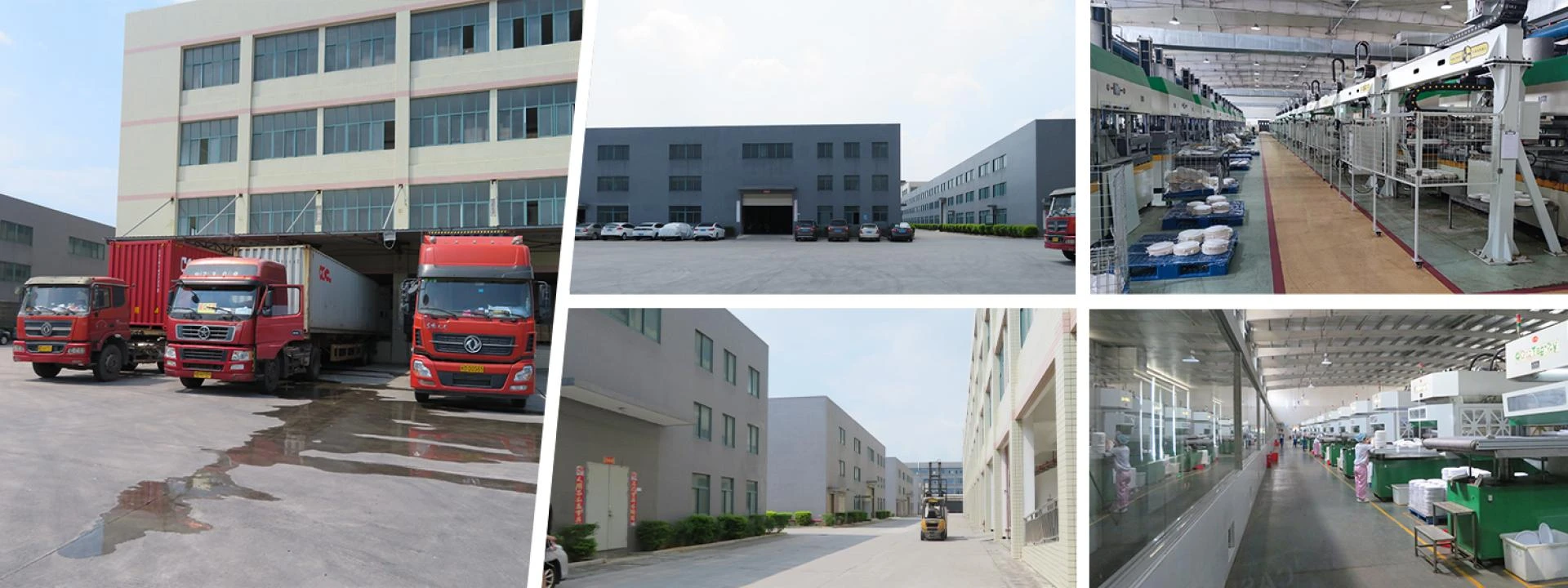 Top 10 Sugarcane Bagasse Tableware Manufacturers & Suppliers in China (2025)