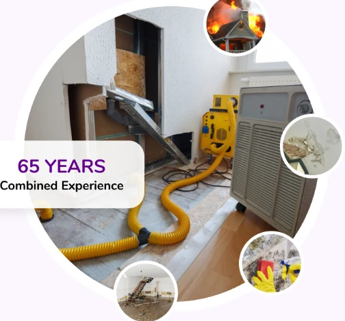 Sydney Mold Removal Services: What to Expect in 2025