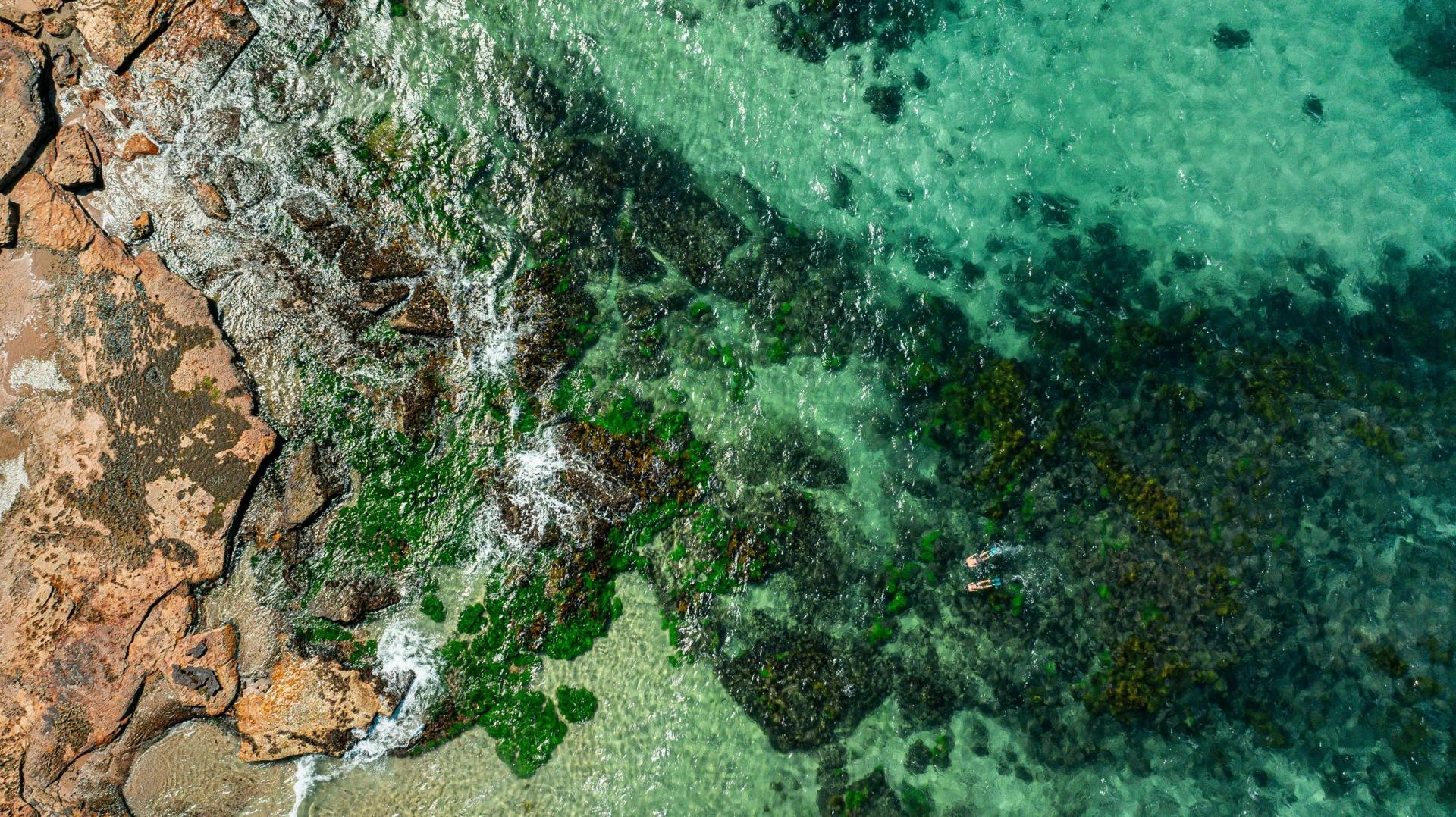 Goa with Family: How to Make It Comfortable and Fun for Everyone