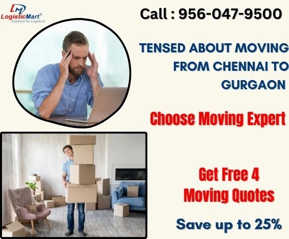 Pet Transportation Services by Packers and Movers in Chennai: How Does it Work?