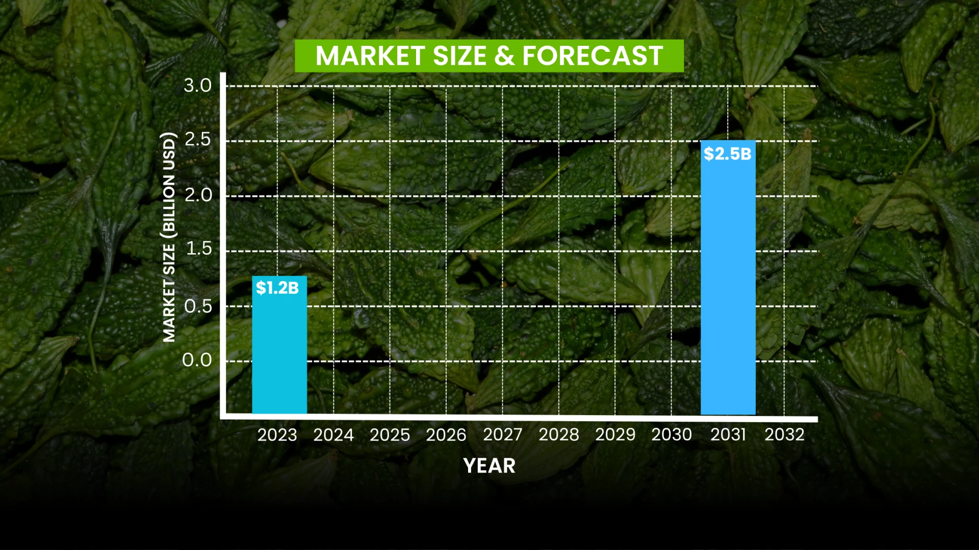 Why Bitter Melon Fruit Powder Is Quietly Becoming a Manufacturers’ Favorite