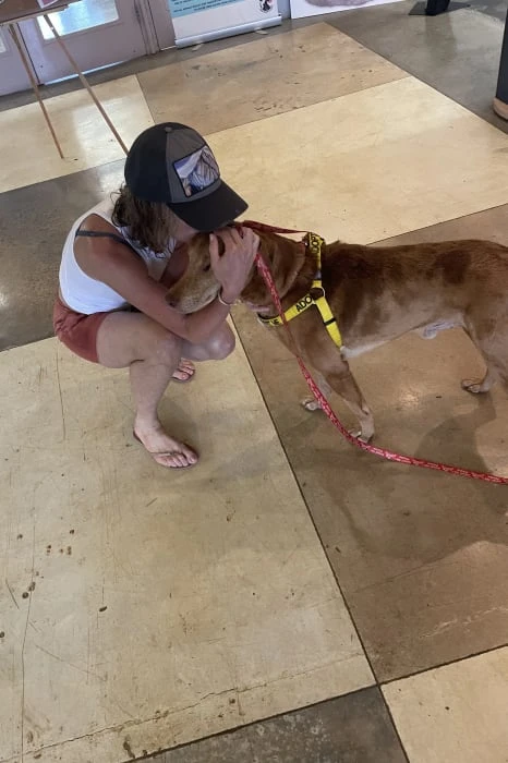 All Animal Shelters Need to Do This- How One Encounter Changed Our Whole Trip