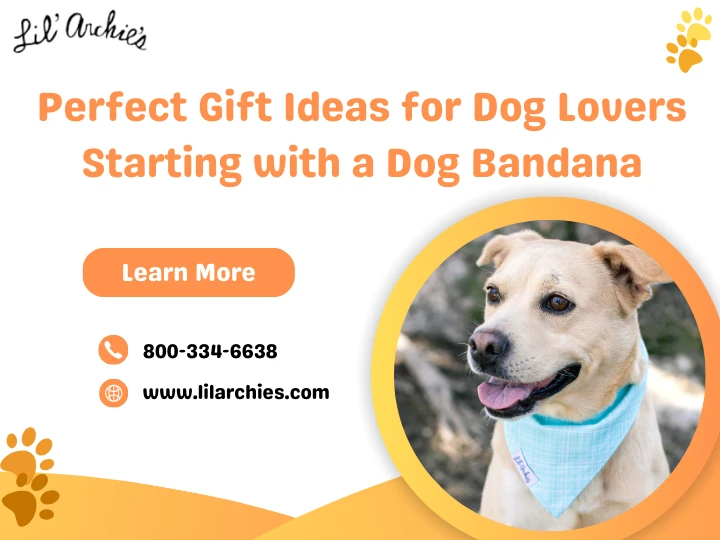 Perfect Gift Ideas for Dog Lovers—Starting with a Dog Bandana