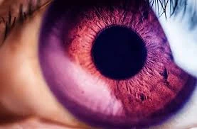 3 Rarest Eye Colors You May Not Have Seen