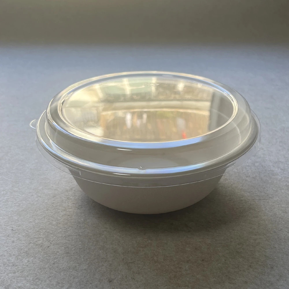 The Ultimate Guide to Bagasse Bowls: How This Eco-Warrior is Beating Plastic at Its Own Game