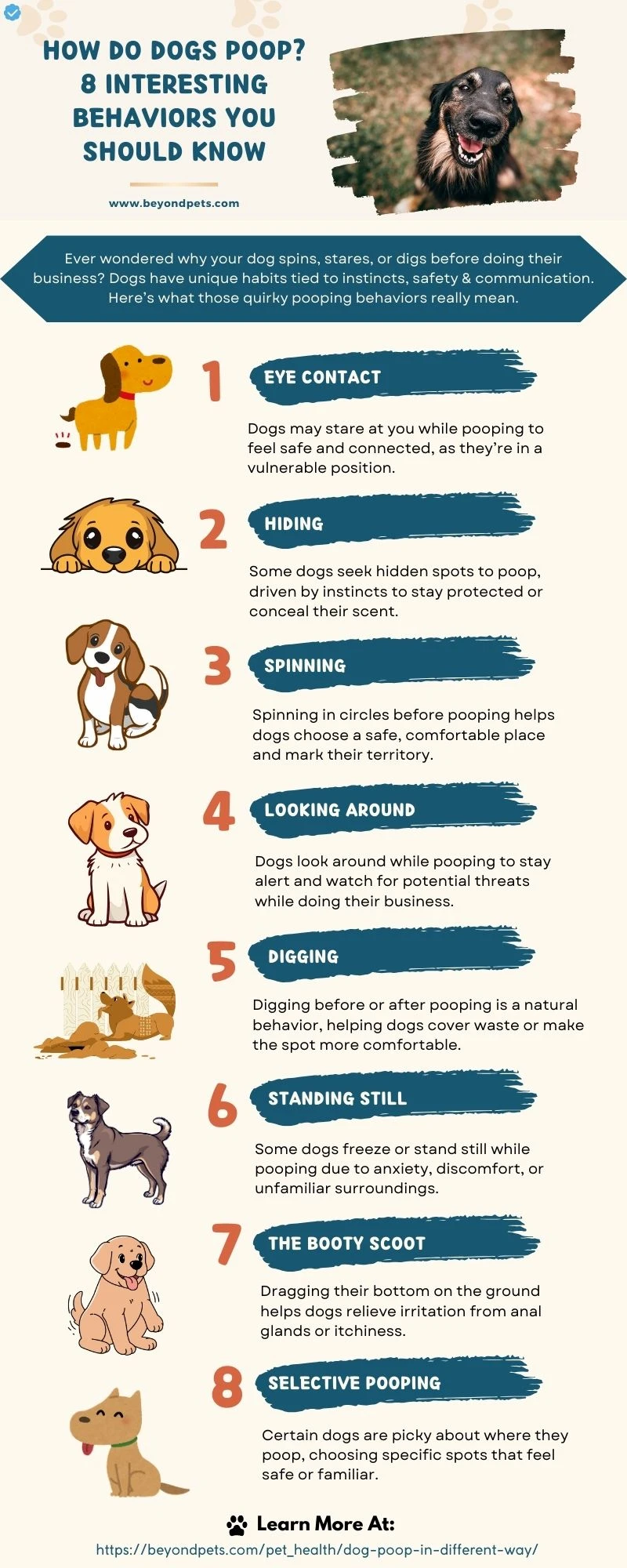 Why Do Dogs Poop in Different Ways?
