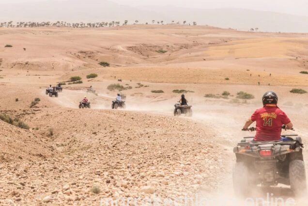 Desert Majesty of Morocco: An Unforgettable Experience