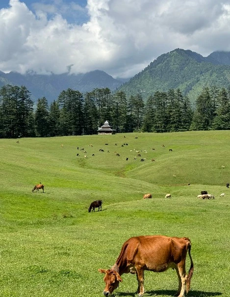 Beyond Manali: Hidden Green Valleys of Kullu You Need to See