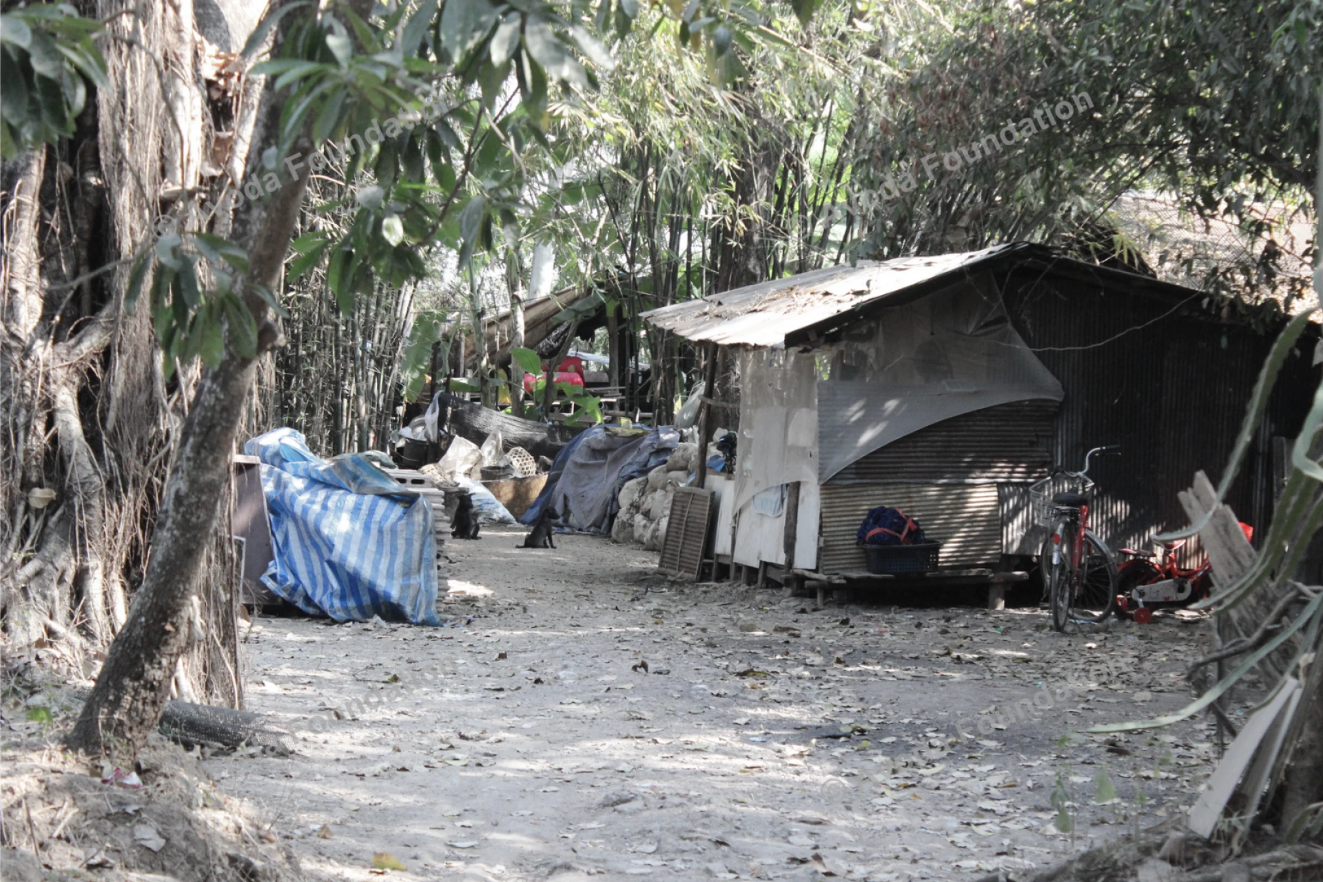 The Last Meal… or the Beginning of Hope