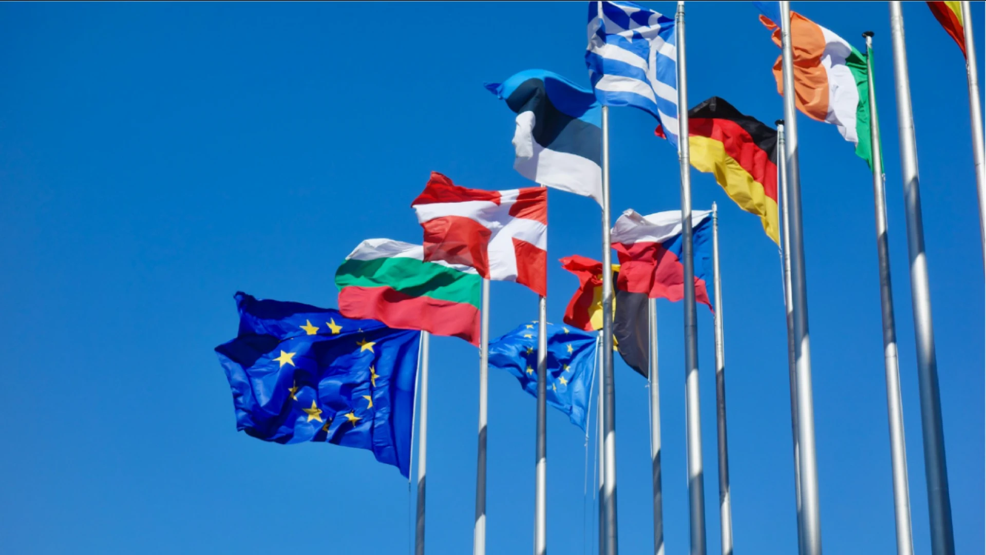 Identify Fake Immigration Agents: A Step-by-Step Guide for Safer Global Dreams