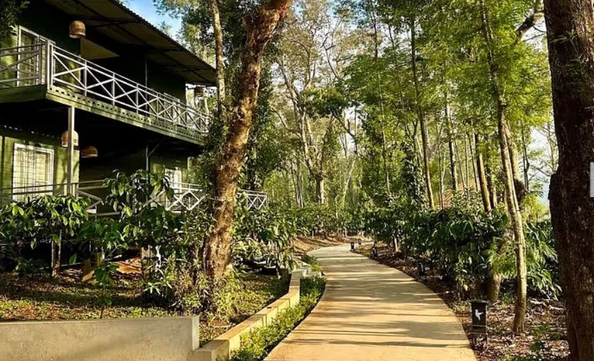 Reconnect with Nature at Machaan: A Unique Getaway into the Wild and Serene