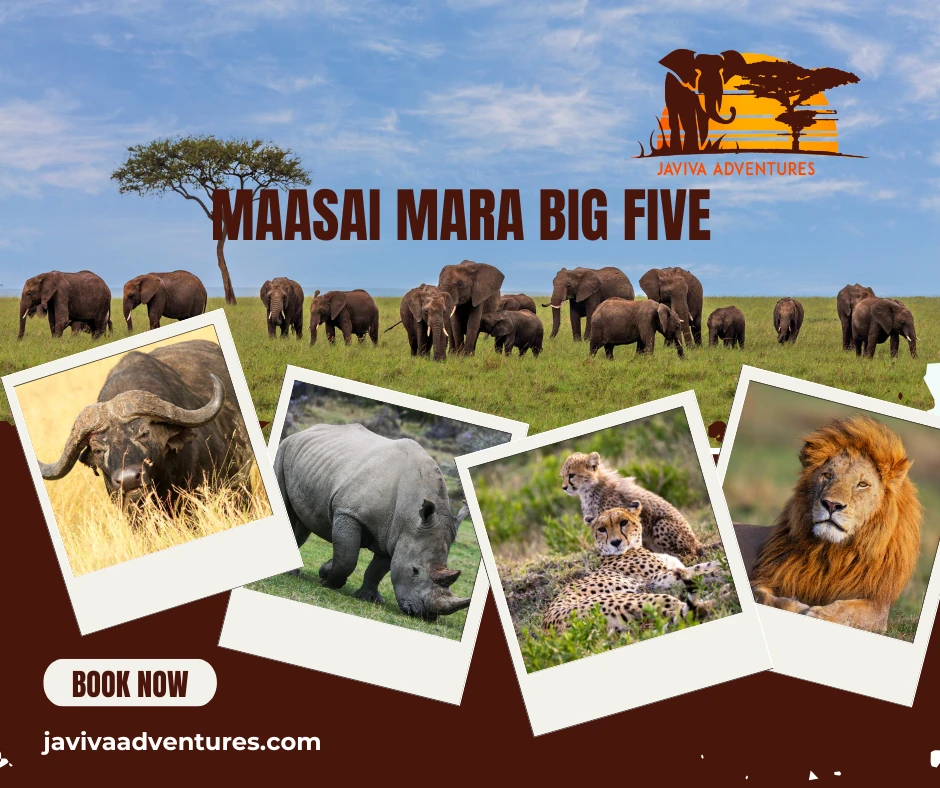 Is Maasai Mara the Best Safari Destination for Africa’s Big Five?