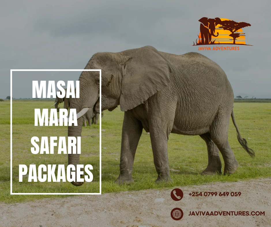 Is Maasai Mara the Best Safari Destination for Africa’s Big Five?