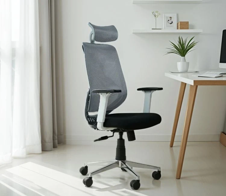 How to Set Up Your Office Chair for Optimal Ergonomics and Work Efficiency