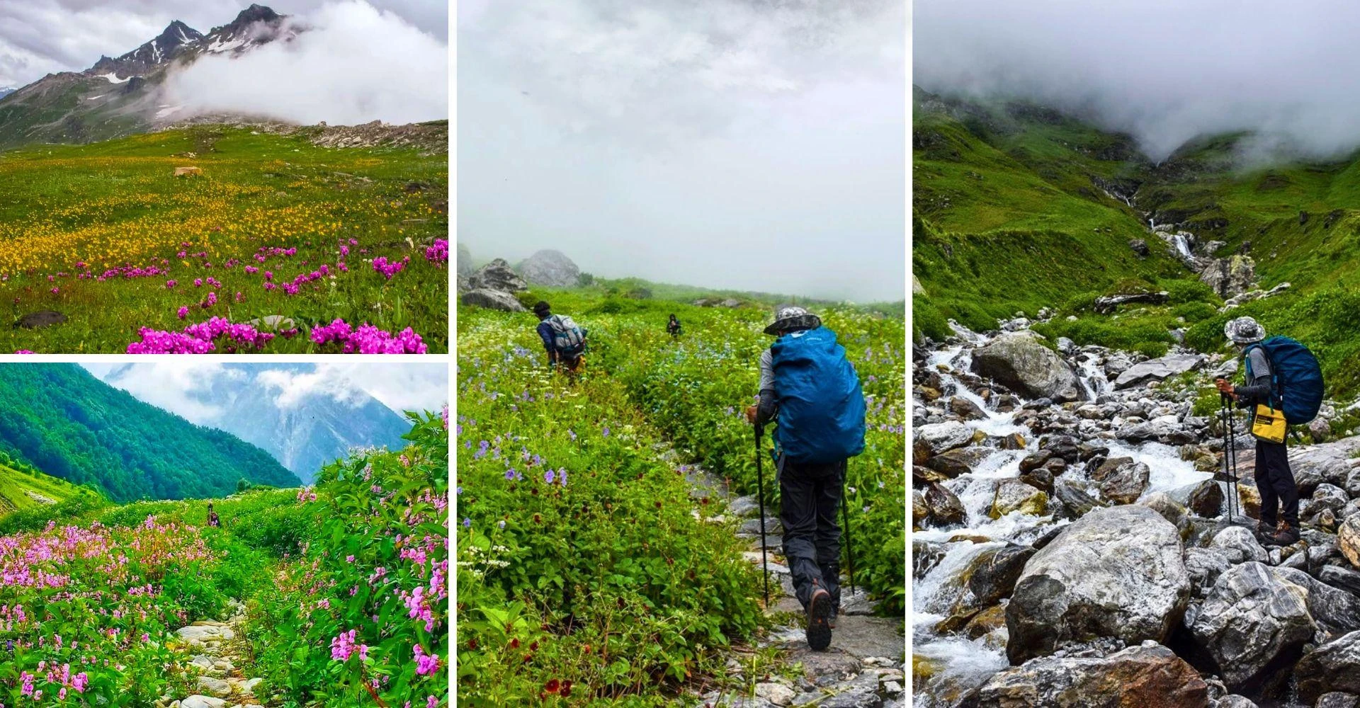 How to Plan the Valley of Flowers Trek: Travel Tips, Cost & Full Itinerary