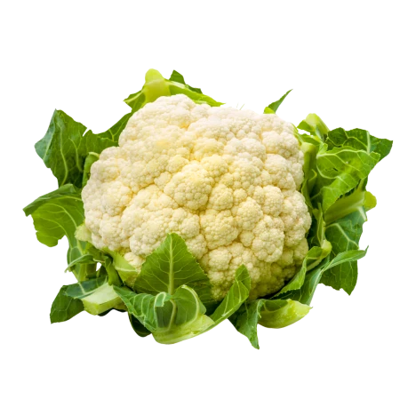 How Technology Is Transforming It's Future Of Agri Agriculture