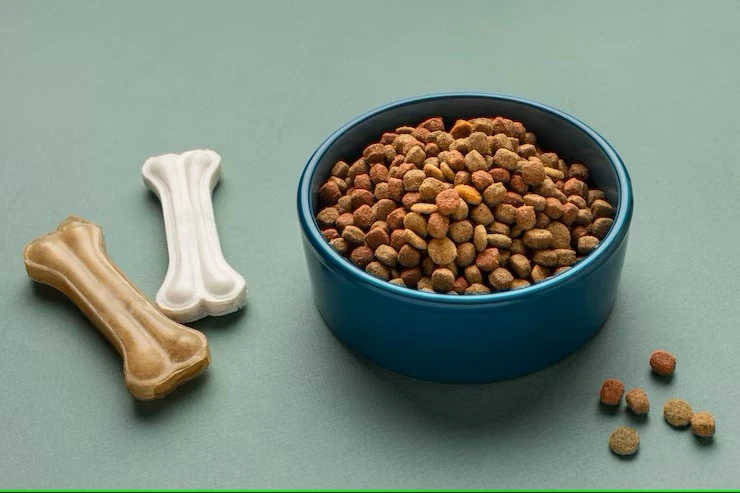 Royal Canin Dog Food Can Improve Your Pet’s Lifestyle