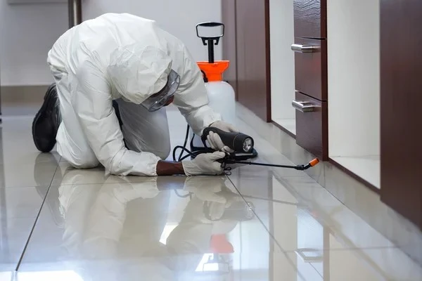 Why Residential Pest Control Is Essential for a Healthy Home Environment